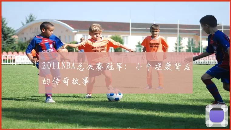 2011NBA总决赛冠军：小牛逆袭背后的传奇故事