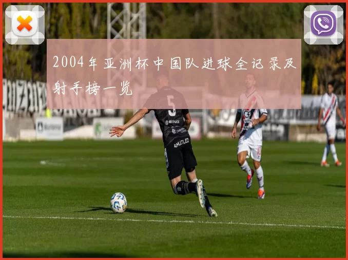 2004年亚洲杯中国队进球全记录及射手榜一览