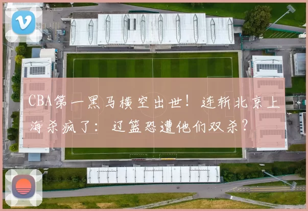 CBA第一黑马横空出世！连斩北京上海杀疯了：辽篮恐遭他们双杀？