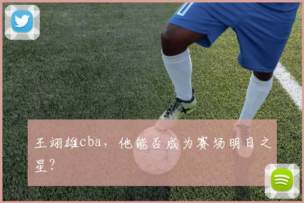 王翊雄cba,他能否成为赛场明日之星?
